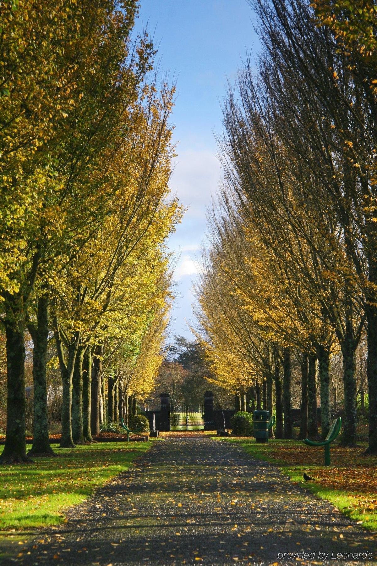 The Dunraven, Adare Hotel Kültér fotó